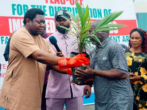 Uyo Chairman Flags Off Distribution of 20,000 Improved Palm Seedlings Under Governor Eno’s Tree Crop Revolution